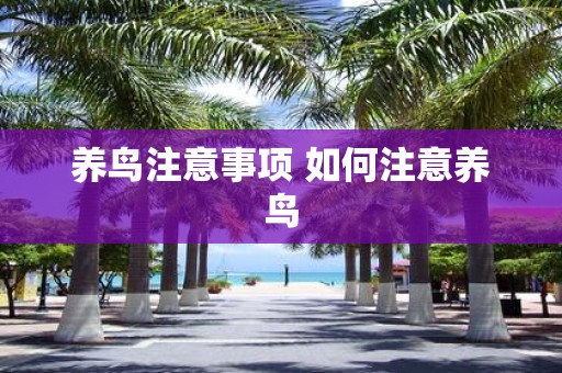 养鸟注意事项 如何注意养鸟