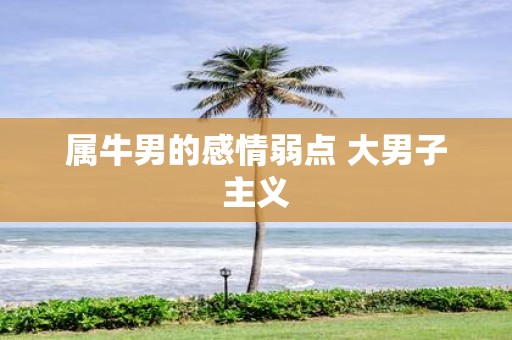 属牛男的感情弱点 大男子主义