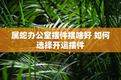 属蛇办公室摆件摆啥好 如何选择开运摆件
