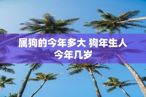 属狗的今年多大 狗年生人今年几岁