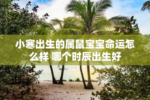 小寒出生的属鼠宝宝命运怎么样 哪个时辰出生好