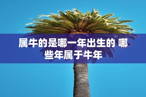 属牛的是哪一年出生的 哪些年属于牛年