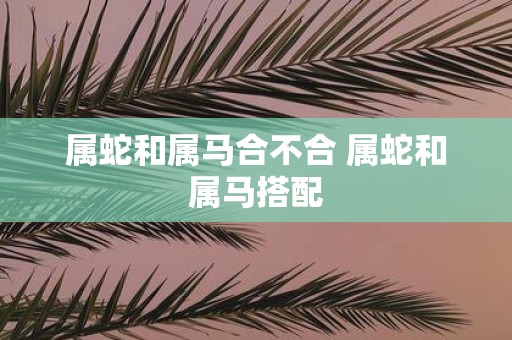 属蛇和属马合不合 属蛇和属马搭配