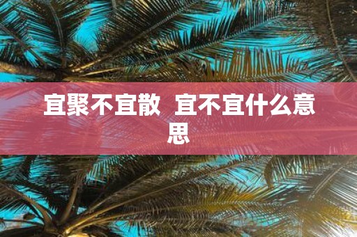宜聚不宜散 宜不宜什么意思