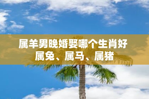 属羊男晚婚娶哪个生肖好 属兔、属马、属猪