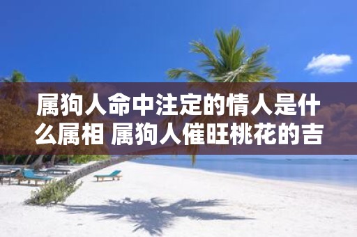 属狗人命中注定的情人是什么属相 属狗人催旺桃花的吉祥物