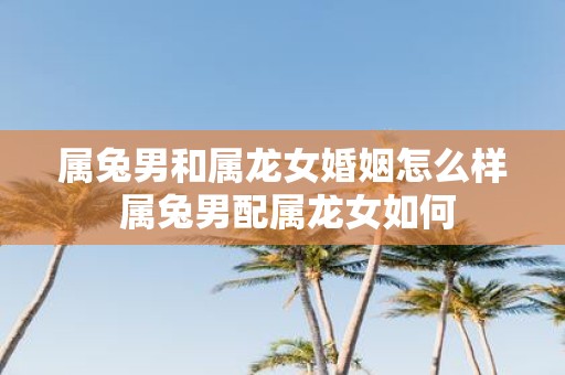 属兔男和属龙女婚姻怎么样 属兔男配属龙女如何