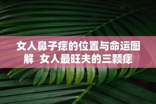 女人鼻子痣的位置与命运图解 女人最旺夫的三颗痣