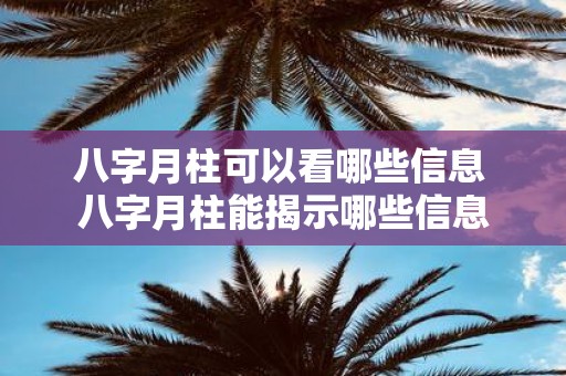 八字月柱可以看哪些信息 八字月柱能揭示哪些信息