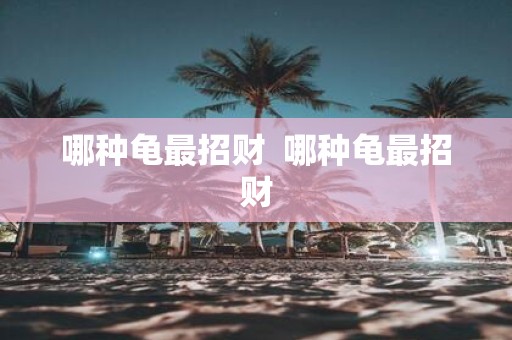 哪种龟最招财 哪种龟最招财