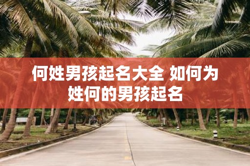 何姓男孩起名大全 如何为姓何的男孩起名