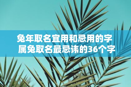 蛇年取名宜用和忌用的字 属兔取名最忌讳的36个字
