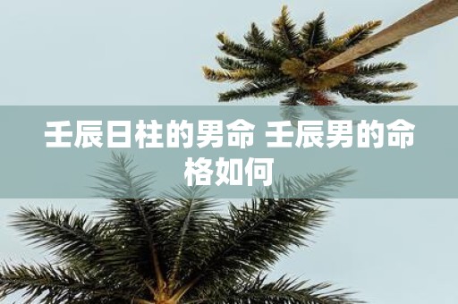 壬辰日柱的男命 壬辰男的命格如何