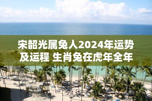 宋韶光属兔人2025年运势及运程 生肖兔在虎年全年每月运势如何
