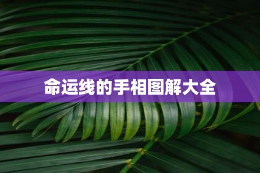 命运线的手相图解大全