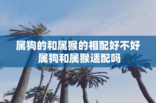 属狗的和属猴的相配好不好 属狗和属猴适配吗