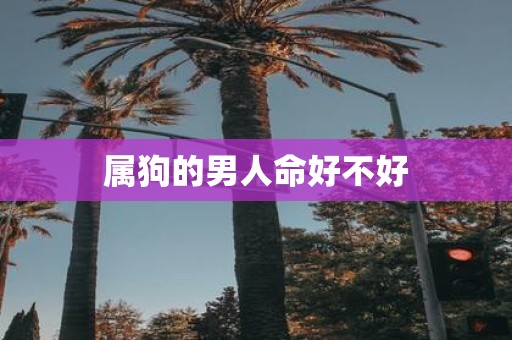 属狗的男人命好不好