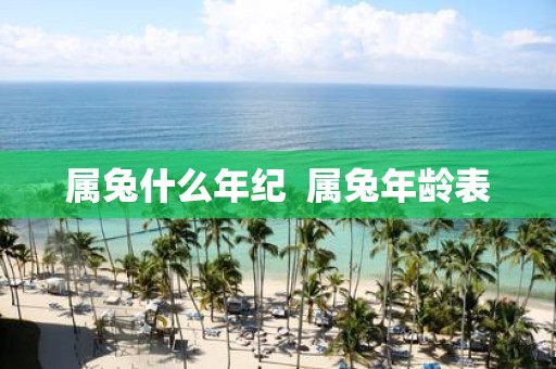 属兔什么年纪 属蛇年龄表