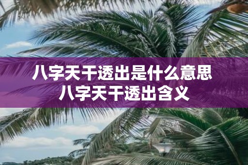 八字天干透出是什么意思 八字天干透出含义