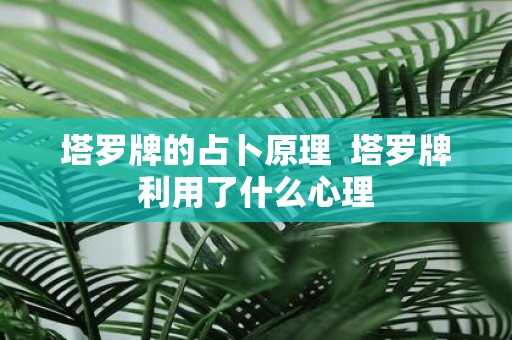 塔罗牌的占卜原理 塔罗牌利用了什么心理