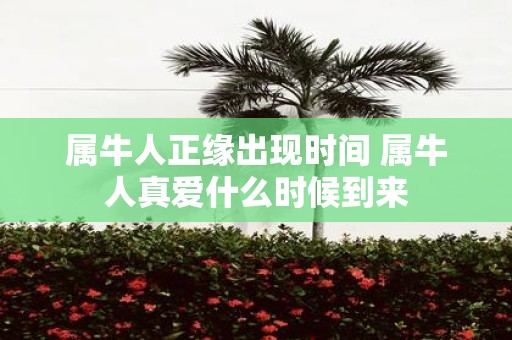 属牛人正缘出现时间 属牛人真爱什么时候到来