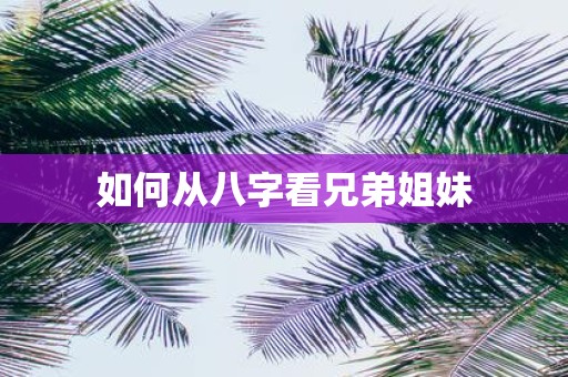 如何从八字看兄弟姐妹
