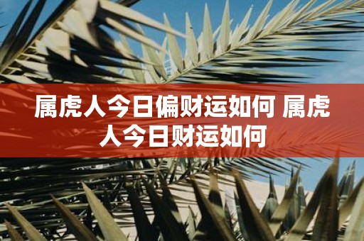 属虎人今日偏财运如何 属虎人今日财运如何