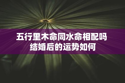五行里木命同水命相配吗 结婚后的运势如何