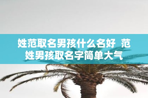 姓范取名男孩什么名好 范姓男孩取名字简单大气