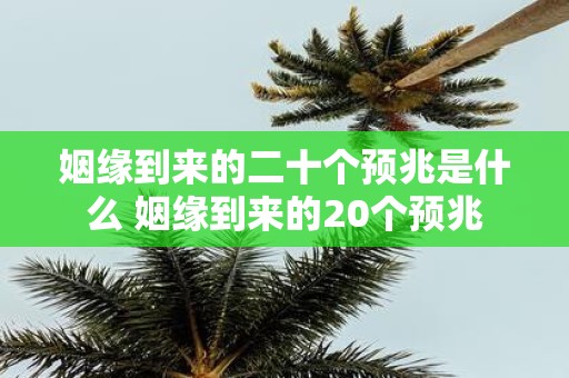 姻缘到来的二十个预兆是什么 姻缘到来的20个预兆