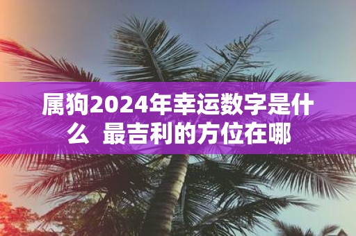 属狗2025年幸运数字是什么 最吉利的方位在哪