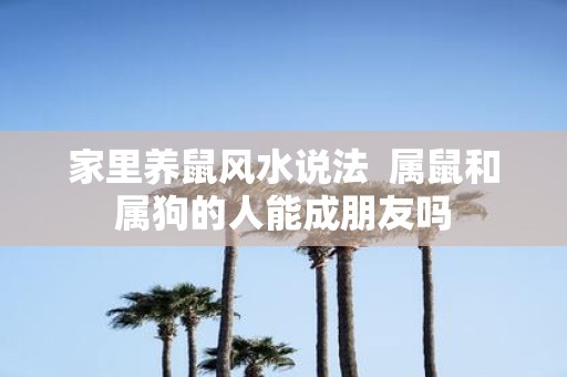家里养鼠风水说法 属鼠和属狗的人能成朋友吗