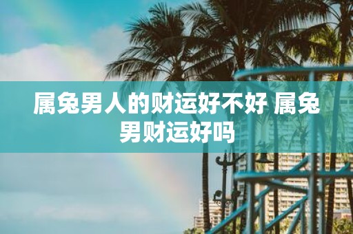 属兔男人的财运好不好 属兔男财运好吗