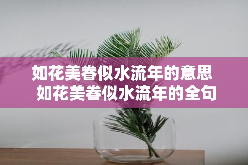 如花美眷似水流年的意思 如花美眷似水流年的全句是什么
