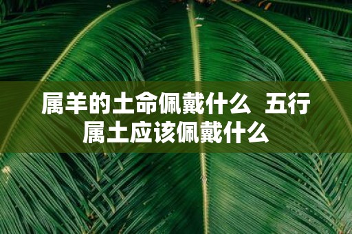属羊的土命佩戴什么 五行属土应该佩戴什么