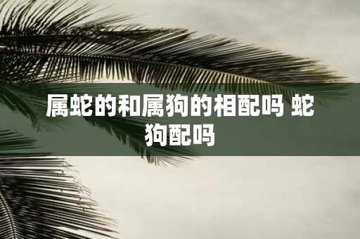 属蛇的和属狗的相配吗 蛇狗配吗