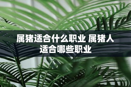 属猪适合什么职业 属猪人适合哪些职业