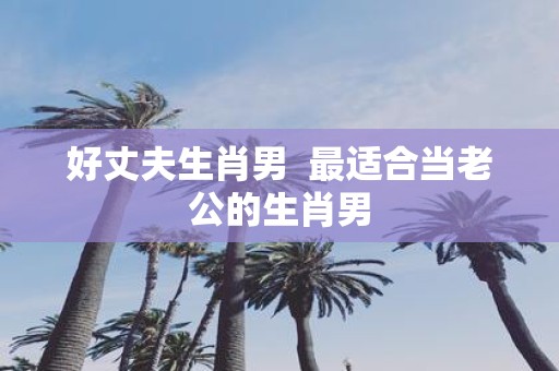 好丈夫生肖男 最适合当老公的生肖男