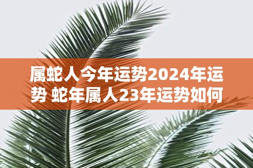 属蛇人今年运势2025年运势 蛇年属人23年运势如何