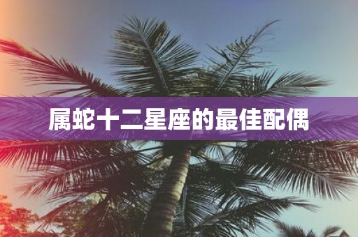 属蛇十二星座的最佳配偶