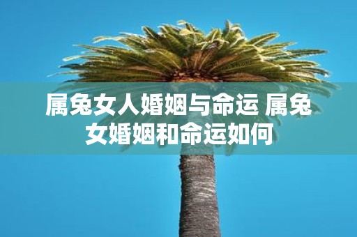 属兔女人婚姻与命运 属兔女婚姻和命运如何