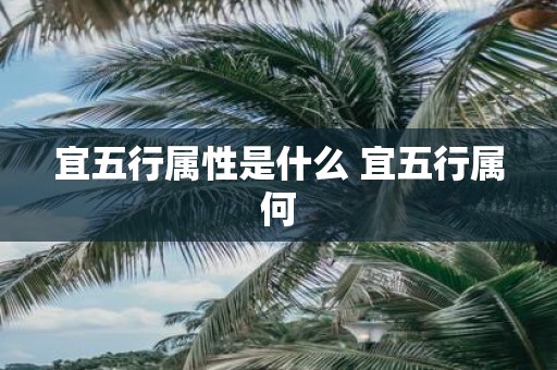 宜五行属性是什么 宜五行属何