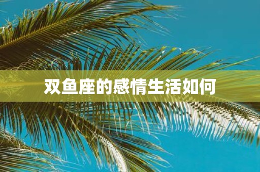 双鱼座的感情生活如何