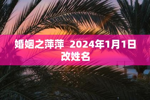 婚姻之萍萍 2025年1月1日改姓名