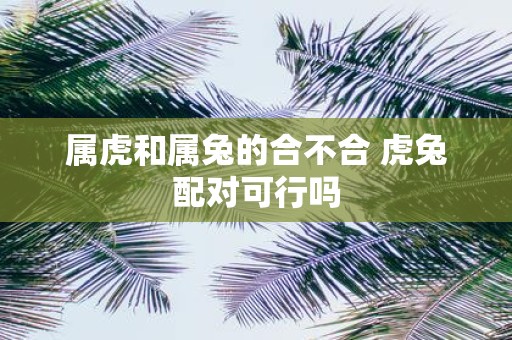 属虎和属兔的合不合 虎兔配对可行吗