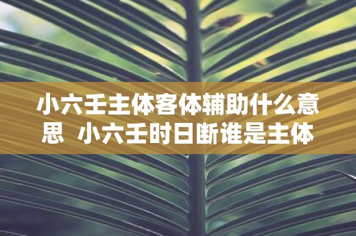 小六壬主体客体辅助什么意思 小六壬时日断谁是主体