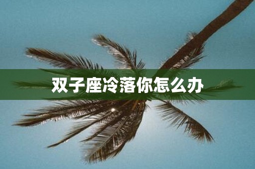 双子座冷落你怎么办