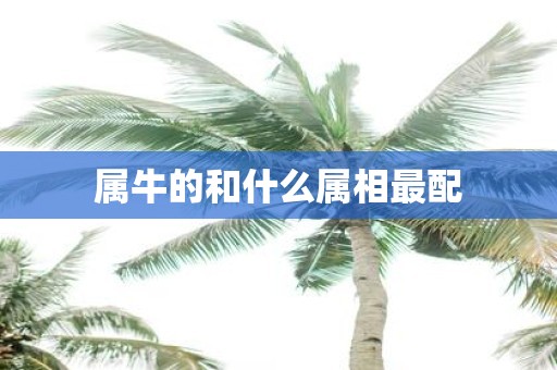 属牛的和什么属相最配