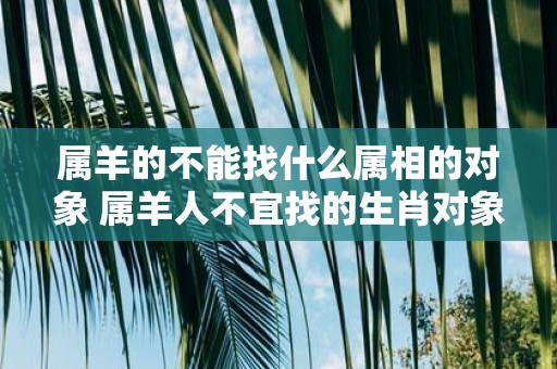 属羊的不能找什么属相的对象 属羊人不宜找的生肖对象
