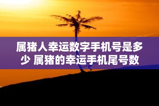 属猪人幸运数字手机号是多少 属猪的幸运手机尾号数字查询